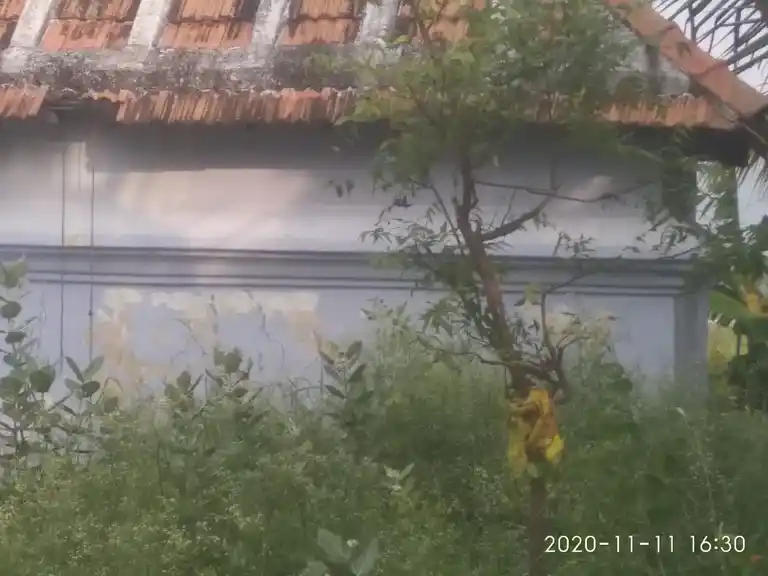 Arulmigu Bhatrakaliamman Temple, Villaseri, Veeramarthandanputhoor - 629304 அருள்மிகு பத்ரகாளியம்மன் திருக்கோயில், Villaseri, Veeramarthandanputhoor - 629304, Kanyakumari - Ancient Temple Architecture and History Image 2