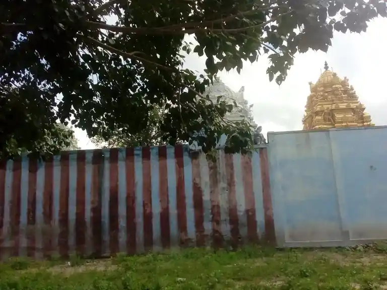 Arulmigu Bhavanieswarar Temple, Muthulapuram - 628720 அருள்மிகு பவானீஸ்வரர் திருக்கோயில், Muthulapuram - 628720, Thoothukudi - Ancient Temple Architecture and History Image 2