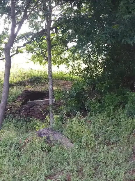 Arulmigu Bhethapanayakkar Malai Temple, Senkuruchi - 624306