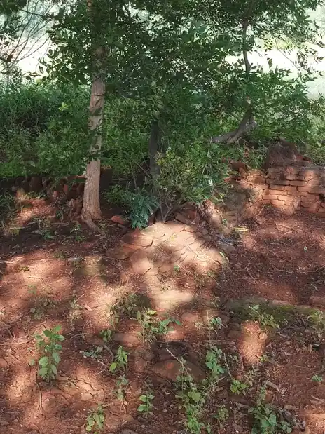 Arulmigu Bhethapanayakkar Malai Temple, Senkuruchi - 624306 அருள்மிகு பெத்தப்பநாயக்கர் மாலைக்கோயில்-செங்குறிச்சி ,திண்டுக்கல். கோயில், Senkuruchi - 624306, Dindigul - Ancient Temple Architecture and History Image 3