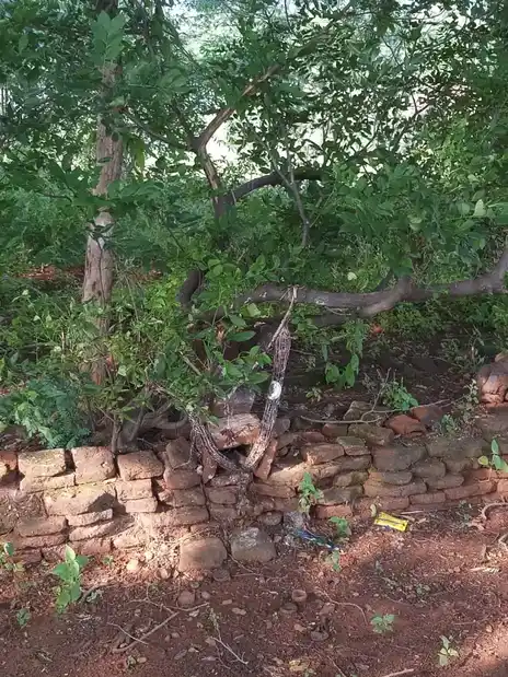 Arulmigu Bhethapanayakkar Malai Temple, Senkuruchi - 624306 அருள்மிகு பெத்தப்பநாயக்கர் மாலைக்கோயில்-செங்குறிச்சி ,திண்டுக்கல். கோயில், Senkuruchi - 624306, Dindigul - Ancient Temple Architecture and History Image 4