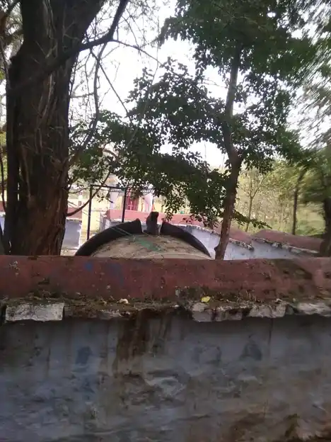 Arulmigu Bhondhikarattu Kannimaar Temple, Sullerumbu - 624710 Arulmigu Bhondhikarattu Kannimaar Temple, Sullerumbu - 624710, Dindigul - Ancient Temple Architecture and History Image 4