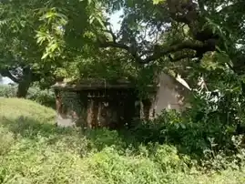 Arulmigu Bhuvaneswariamman Temple, Vellaiyur - 636116 அருள்மிகு புவனேஸ்வரியம்மன் திருக்கோயில், Vellaiyur - 636116, Salem - Ancient Temple Architecture and History Image 2