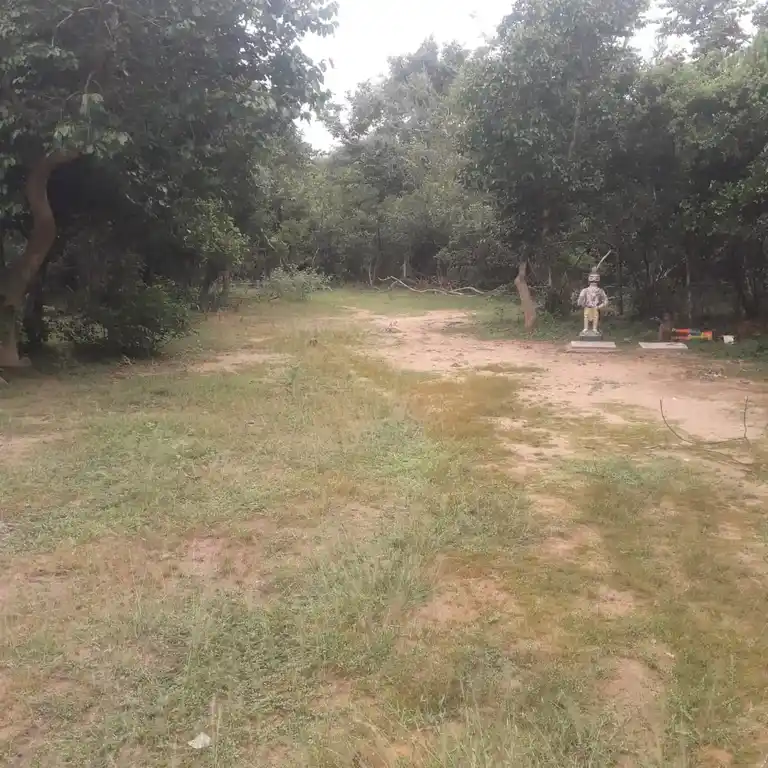 Arulmigu Birammar Temple, Malaiyur - 622301 அருள்மிகு பிரமர் திருக்கோயில், Malaiyur - 622301, Pudukkottai - Ancient Temple Architecture and History Image 3