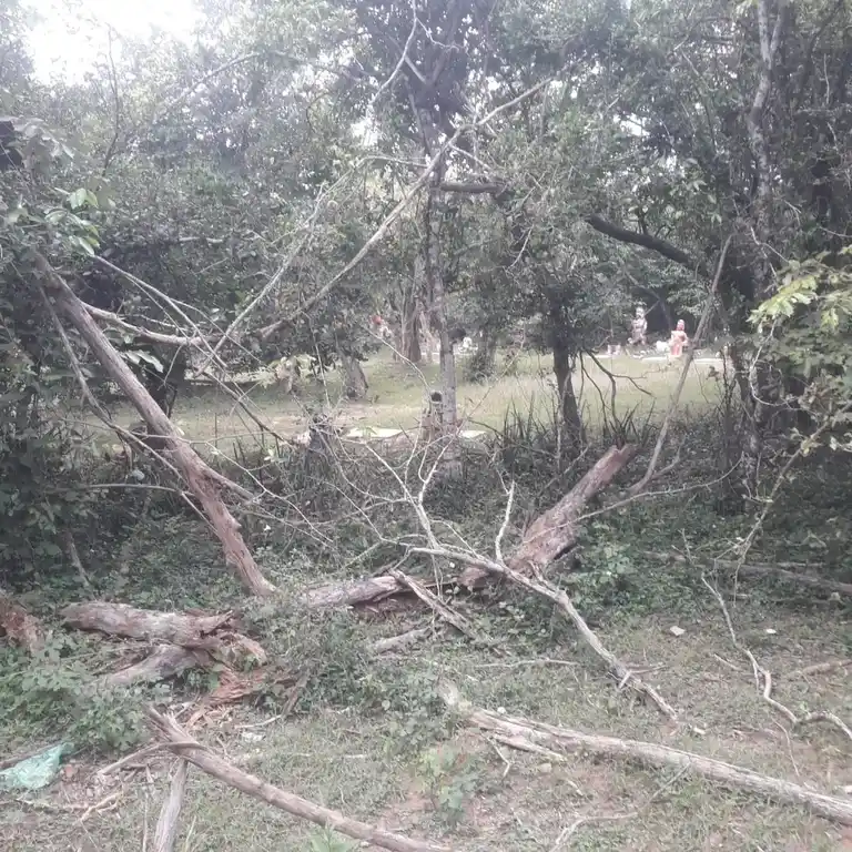 Arulmigu Birammar Temple, Malaiyur - 622301 அருள்மிகு பிரமர் திருக்கோயில், Malaiyur - 622301, Pudukkottai - Ancient Temple Architecture and History Image 6