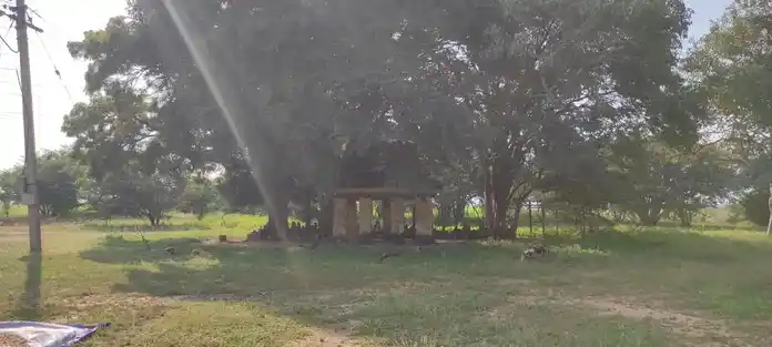 Arulmigu Bommusamy Malikoil Temple, Kallai - 639110 அருள்மிகு பொம்முசாமி மாலைக்கோயில், கள்ளை, குளித்தலை, கரூர். கோயில்,  - 639110, Karur - Ancient Temple Architecture and History Image 2