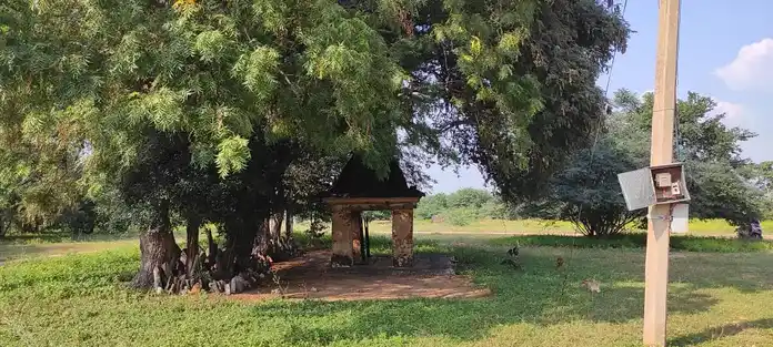 Arulmigu Bommusamy Malikoil Temple, Kallai - 639110 அருள்மிகு பொம்முசாமி மாலைக்கோயில், கள்ளை, குளித்தலை, கரூர். கோயில்,  - 639110, Karur - Ancient Temple Architecture and History Image 3