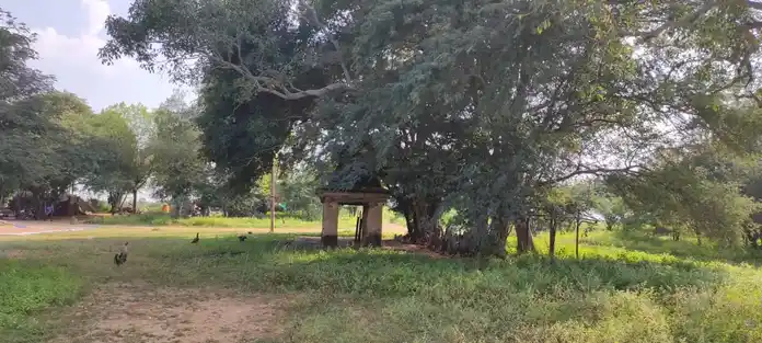 Arulmigu Bommusamy Malikoil Temple, Kallai - 639110 அருள்மிகு பொம்முசாமி மாலைக்கோயில், கள்ளை, குளித்தலை, கரூர். கோயில்,  - 639110, Karur - Ancient Temple Architecture and History Image 4