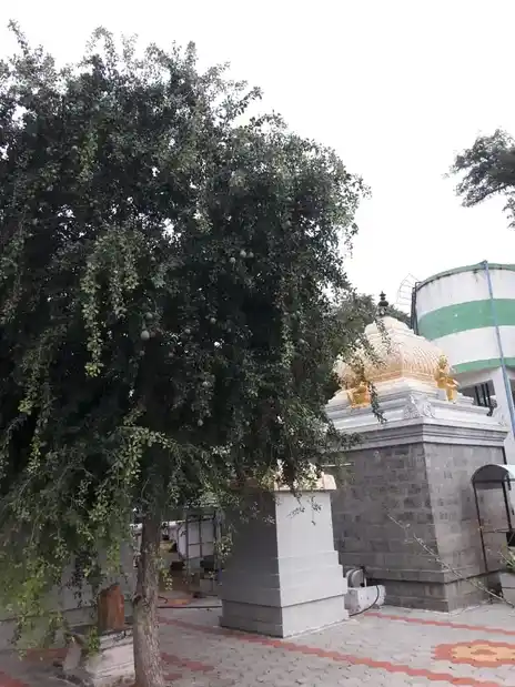 Arulmigu Boothaaleeswarar Temple, Poothalakkuttai, Sankari - 637301 அருள்மிகு பூத்தாலிஸ்வரர் திருக்கோயில், Poothalakkuttai, Sankari - 637301, Salem - Ancient Temple Architecture and History Image 3