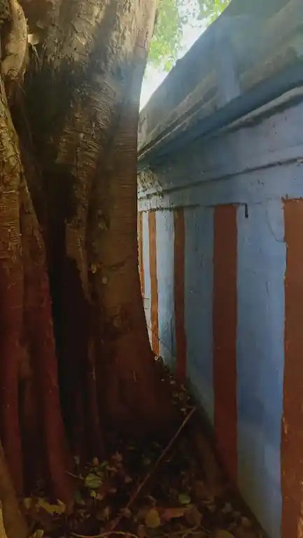 Arulmigu Boothala Vinayakar Temple, Vikramasingapuram - 627425 Arulmigu Boothala Vinayakar Temple, Vikramasingapuram - 627425, Tirunelveli - Ancient Temple Architecture and History Image 4