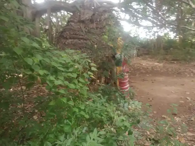 Arulmigu Boothanachiyamman Temple, Ekkarai Kosukurichi, Ekkarai Kosukurichi - 621311 Arulmigu Boothanachiyamman Temple, Ekkarai Kosukurichi, Ekkarai Kosukurichi - 621311, Thiruchirappalli - Ancient Temple Architecture and History Image 3