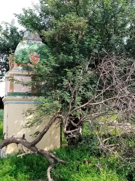 Arulmigu Boothanachiyamman Temple, V.Periyapatti - 621305 Arulmigu Boothanachiyamman Temple, V.Periyapatti - 621305, Thiruchirappalli - Ancient Temple Architecture and History Image 2