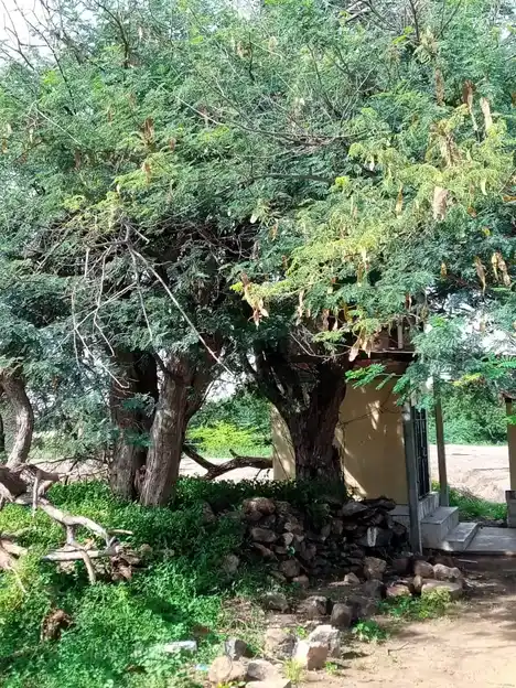 Arulmigu Boothanachiyamman Temple, V.Periyapatti - 621305 Arulmigu Boothanachiyamman Temple, V.Periyapatti - 621305, Thiruchirappalli - Ancient Temple Architecture and History Image 3