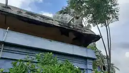 Arulmigu Brahmapureeswarar Temple, Pinnaiyur - 614902 அருள்மிகு பிரம்மபுரீஸ்வரர் திருக்கோயில், பின்னையூர் - 614902, Thanjavur - Ancient Temple Architecture and History Image 4