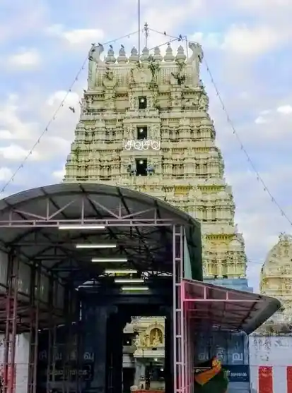 Arulmigu Brahmapuriswarar Temple, Perunagar - 603402 அருள்மிகு பிரம்மபுரீஸ்வரர் திருக்கோயில், பெருநகர், உத்திரமேரூர் வட்டம் - 603402, Kancheepuram - Ancient Temple Architecture and History Image 4