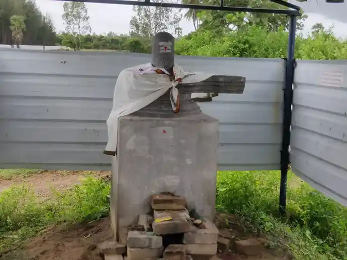 Arulmigu Bramaeswarar Temple, Chitharkadu - 603302 அருள்மிகு பரம்மா இஸ்வரர் திருக்கோயில், Chitharkadu - 603302, Chengalpattu - Ancient Temple Architecture and History Image 5