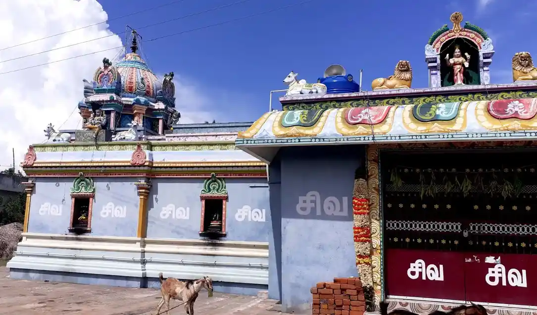 Arulmigu Brameeswarar Temple, Pinayur - 603302 அருள்மிகு பிரம்மீஸ்வரர் வகையறா திருக்கோயில், பினாயூர் - 603302, Kancheepuram - Ancient Temple Architecture and History Image 2
