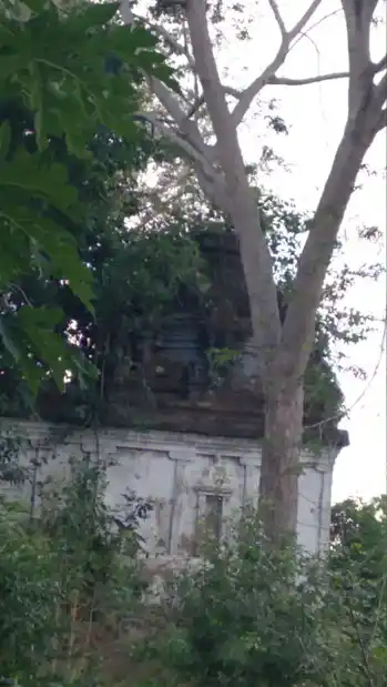 Arulmigu Brammapureeswarer Temple, Kukur - 612602 அருள்மிகு பிரம்மபூரிஸ்வரி பிரகன் நாயகி திருக்கோயில், கூகூர் - 612602, Thanjavur - Ancient Temple Architecture and History Image 4