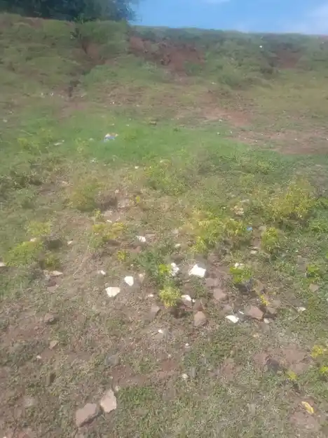 Arulmigu Cellampatti Ayyanar Temple, Valanthur - 625532