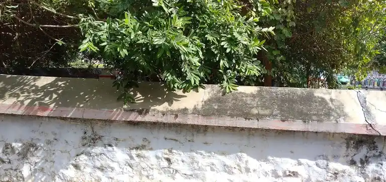 Arulmigu Chadayappaswamy Temple, Kondampatty - 637019 அருள்மிகு சடையப்ப சுவாமி திருக்கோயில், கொண்டம்பட்டி - 637019, Namakkal - Ancient Temple Architecture and History Image 3