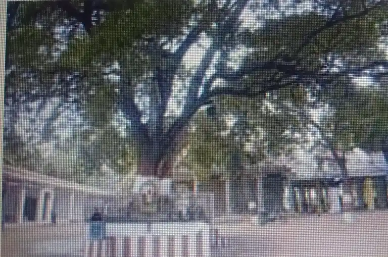 Arulmigu Chairman Arunachaleswarar Temple, Near Thamira Barani, Eral - 628801 அருள்மிகு சேர்மன் அருணாச்சலேஸ்வரர் திருக்கோயில், Near Thamira Barani, Eral - 628801, Thoothukudi - Ancient Temple Architecture and History Image 2