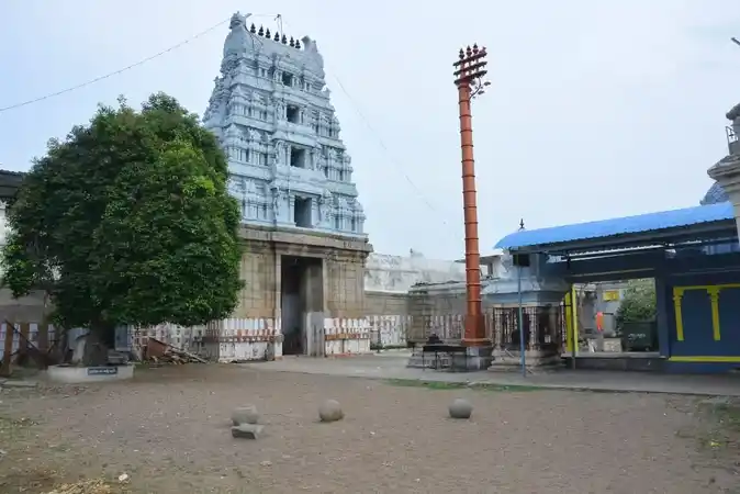 Arulmigu Chandirasekara Swamy Temple, Kammakoor - 606903 அருள்மிகு சந்திரசேகரசுவாமி திருக்கோயில், கமக்கூர் - 606903, Tiruvannamalai - Ancient Temple Architecture and History Image 3