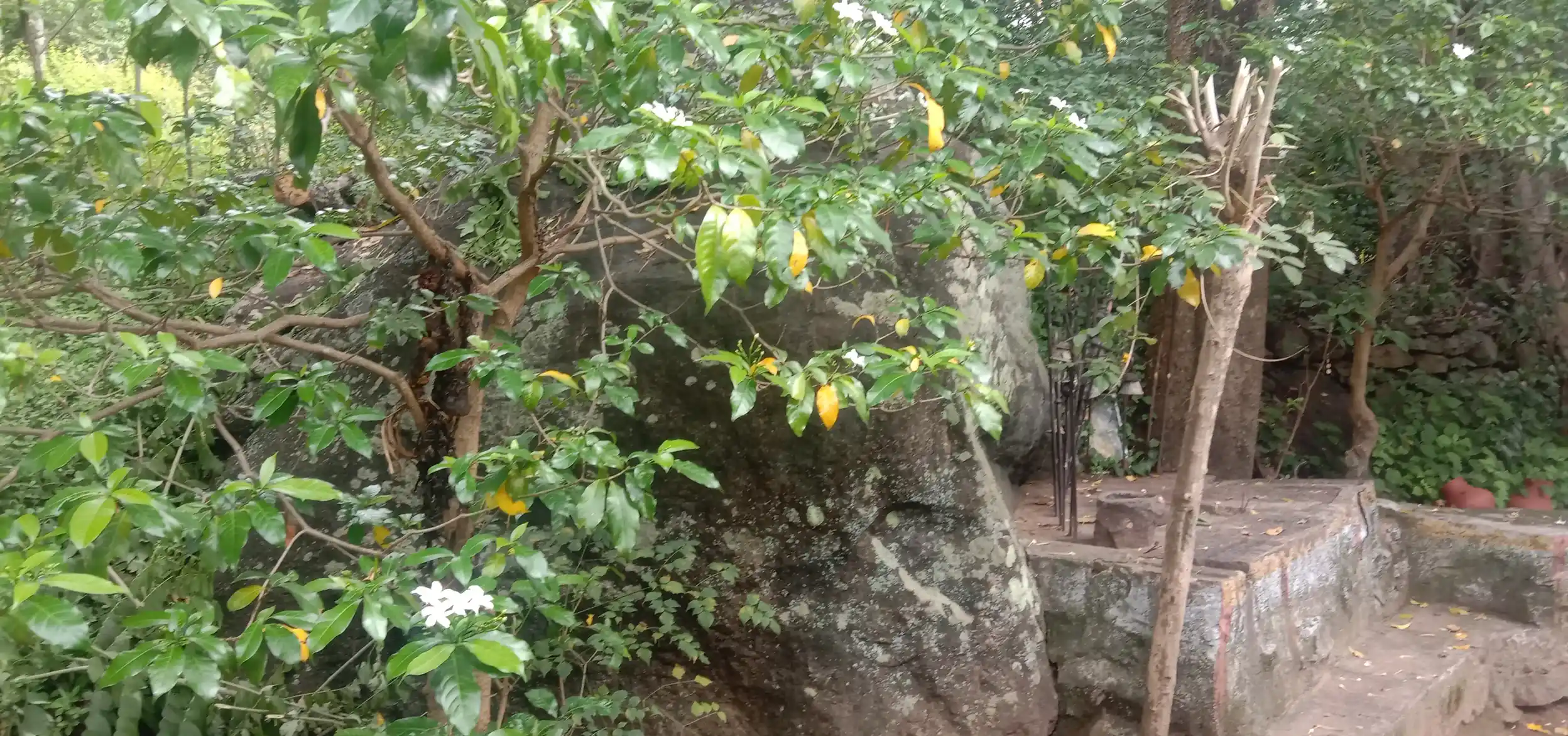 Arulmigu Chandrakumarsamy Temple, Kottakudi - 625582 அருள்மிகு சந்திரகுமார் திருக்கோயில், Kottakudi - 625582, Theni - Ancient Temple Architecture and History Image 2