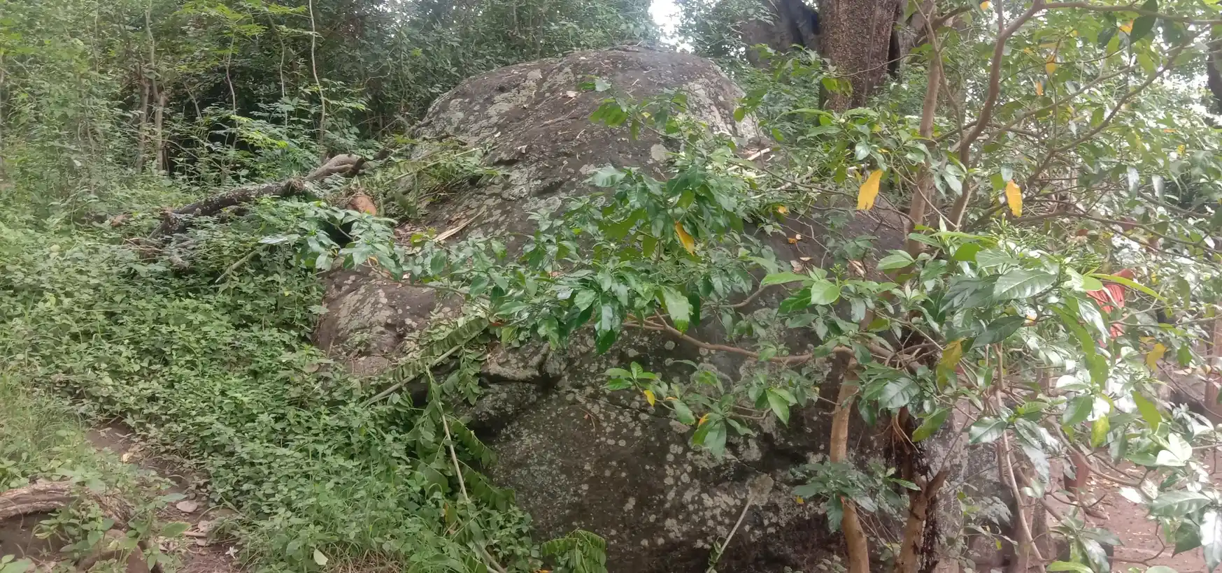 Arulmigu Chandrakumarsamy Temple, Kottakudi - 625582 அருள்மிகு சந்திரகுமார் திருக்கோயில், Kottakudi - 625582, Theni - Ancient Temple Architecture and History Image 3