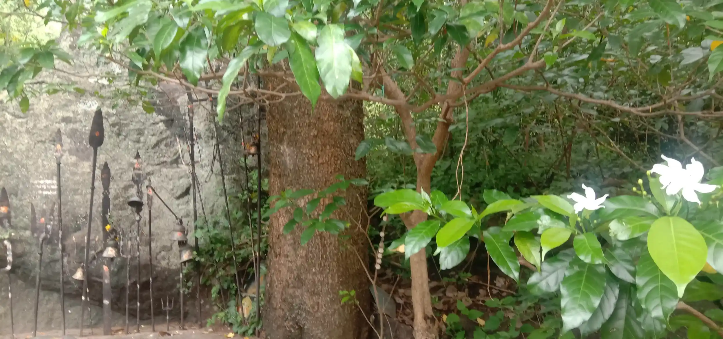 Arulmigu Chandrakumarsamy Temple, Kottakudi - 625582 அருள்மிகு சந்திரகுமார் திருக்கோயில், Kottakudi - 625582, Theni - Ancient Temple Architecture and History Image 4