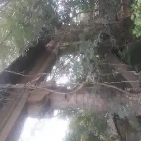 Arulmigu Chathiram Pillaiyar Temple, Ayippatti, Karambakudi Taluk - 622301 அருள்மிகு சத்திரம் பிள்ளையார் திருக்கோயில், ஆயிப்பட்டி, கறம்பக்குடி வட்டம் - 622301, Pudukkottai - Ancient Temple Architecture and History Image 4