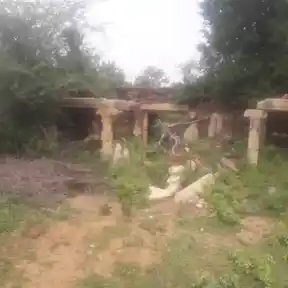 Arulmigu Chathiram Pillaiyar Temple, Ayippatti, Karambakudi Taluk - 622301 அருள்மிகு சத்திரம் பிள்ளையார் திருக்கோயில், ஆயிப்பட்டி, கறம்பக்குடி வட்டம் - 622301, Pudukkottai - Ancient Temple Architecture and History Image 7