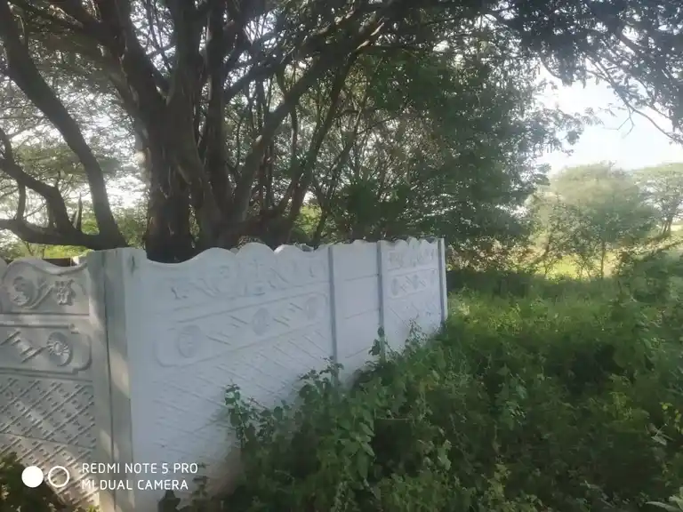 Arulmigu Chathirapatti Malaikovil, Chitrapatty - 624620 அருள்மிகு சத்திரபட்டி மாலைக்கோயில்-ஆலம்பாடி, வேடசந்தூர், திண்டுக்கல். கோயில், சத்திரபட்டி - 624620, Dindigul - Ancient Temple Architecture and History Image 3