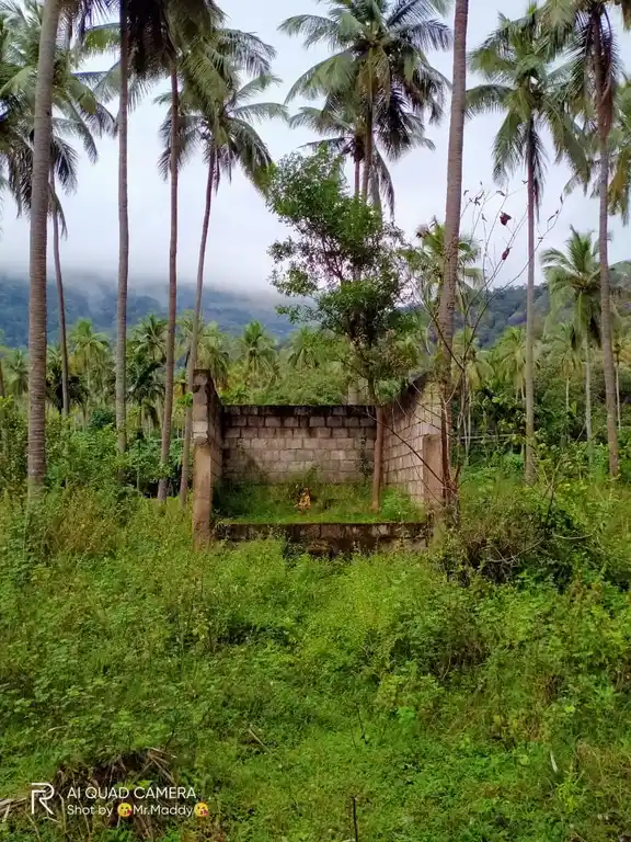Arulmigu Chellampillai Ayyanar Temple, Shenkottai - 627809 Arulmigu Chellampillai Ayyanar Temple, Shenkottai - 627809, Tenkasi - Ancient Temple Architecture and History Image 4