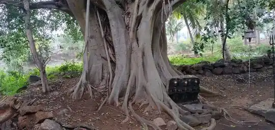 Arulmigu Chellandi Amman Temple, Thanthoni - 642203
