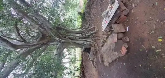 Arulmigu Chellandi Amman Temple, Thanthoni - 642203 அருள்மிகு செல்லாண்டியம்மன திருக்கோயில், Thanthoni - 642203, Tiruppur - Ancient Temple Architecture and History Image 3