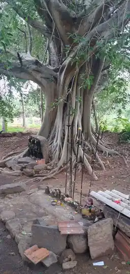 Arulmigu Chellandi Amman Temple, Thanthoni - 642203 அருள்மிகு செல்லாண்டியம்மன திருக்கோயில், Thanthoni - 642203, Tiruppur - Ancient Temple Architecture and History Image 4