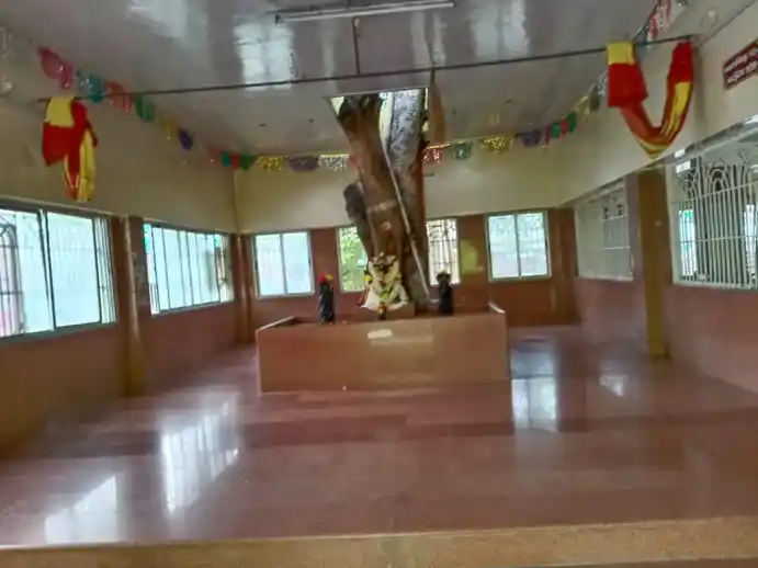 Arulmigu Chellandiamman And Mariamman Temples, Kannanur, Pallipalayam - 638006 அருள்மிகு செல்லாண்டியம்மன், மாரியம்மன் வகையறா திருக்கோயில்கள், பள்ளிபாளையம் - 638006, Namakkal - Ancient Temple Architecture and History Image 4