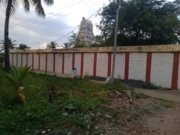 Arulmigu Chellandiamman Temple, Patlur - 637210 அருள்மிகு செல்லாண்டியம்மன் திருக்கோயில், Patlur - 637210, Namakkal - Ancient Temple Architecture and History Image 4