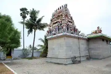 Arulmigu Chellandiamman Temple, Sirukalanji, Sirukalanji - 638751 அருள்மிகு செல்லாண்டியம்மன் திருக்கோயில், சிறுகளஞ்சி, சிறுகளஞ்சி - 638751, Erode - Ancient Temple Architecture and History Image 5