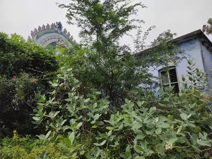 Arulmigu Chellandiyamman Temple, Meettu Marudur, Maruthoor - 639107 அருள்மிகு செல்லாண்டியம்மன் திருக்கோயில், Meettu Marudurmaruthoor, Maruthoor - 639107, Karur - Ancient Temple Architecture and History Image 3