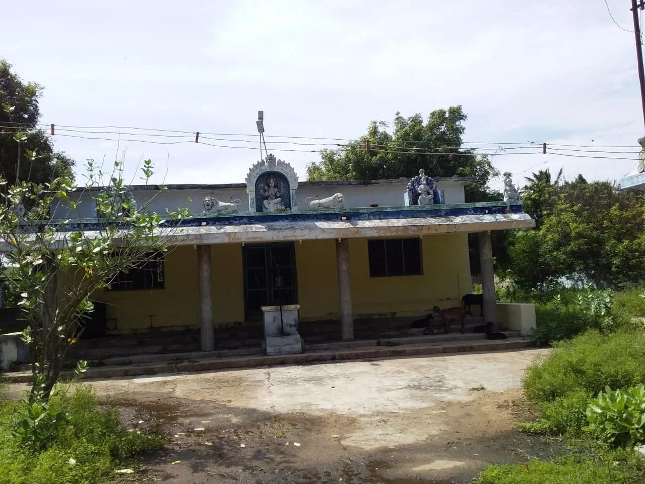 அருள்மிகு செல்லாண்டியம்மன் திருக்கோயில், Meettu Marudurmaruthoor, Maruthoor - 639107 - Main View