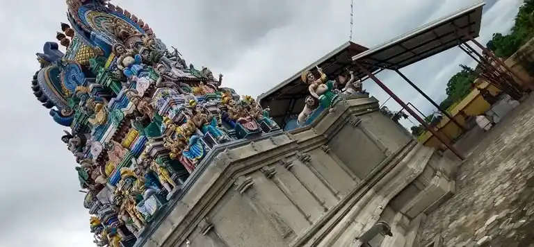 Arulmigu Chellandiyamman Temple, Nagamanayakanpatti - 621002 Temple