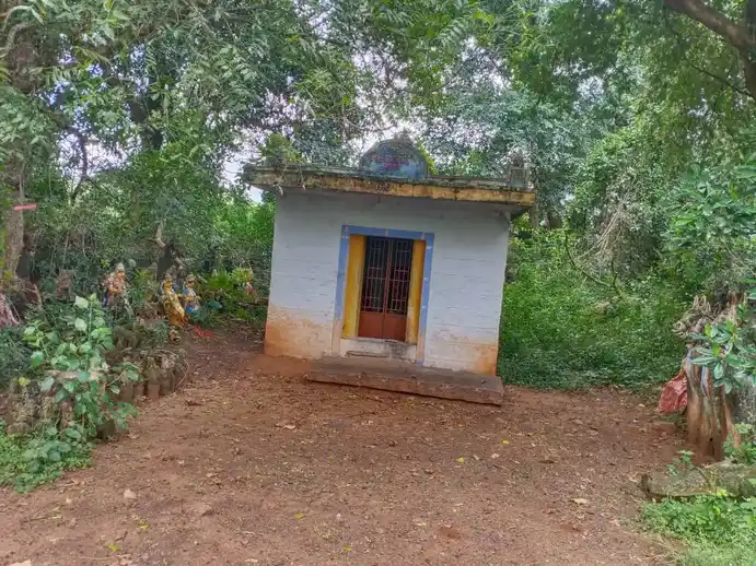 Arulmigu Chellandiyamman Temple, Pallapatti - 625103 அருள்மிகு செல்லாண்டியம்மன் கோயில், Pallapatti - 625103, Madurai - Ancient Temple Architecture and History Image 2