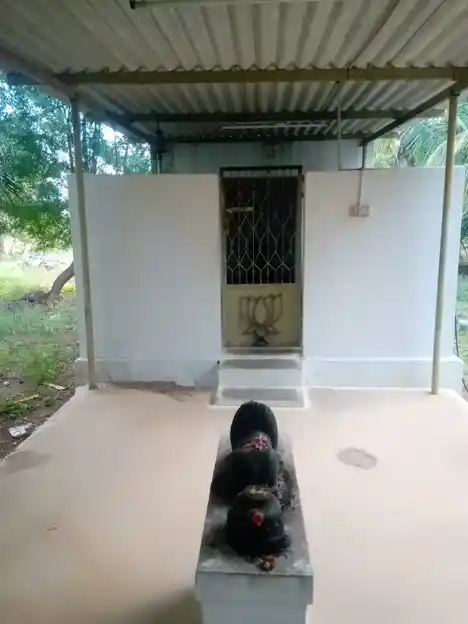 Arulmigu Chellathal Temple, Punjaithalavaipalayam - 638751 அருள்மிகு செல்லாத்தாள் திருக்கோயில், Punjaithalavaipalayam - 638751, Tiruppur - Ancient Temple Architecture and History Image 2