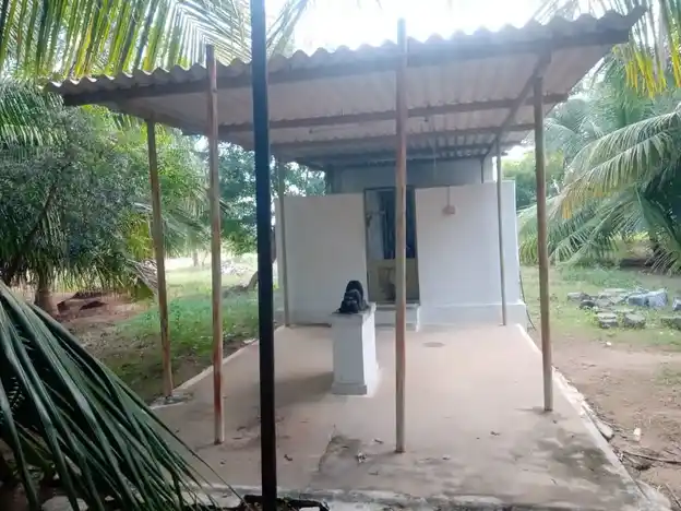 Arulmigu Chellathal Temple, Punjaithalavaipalayam - 638751 அருள்மிகு செல்லாத்தாள் திருக்கோயில், Punjaithalavaipalayam - 638751, Tiruppur - Ancient Temple Architecture and History Image 4