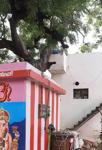 Arulmigu Chellathamman Temple, Ponmeni - 625016 அருள்மிகு செல்லத்தம்மன் திருக்கோயில், Ponmeni - 625016, Madurai - Ancient Temple Architecture and History Image 7