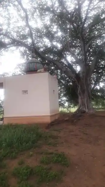 Arulmigu Chellayiamman Temple, Parapathi - 625022 செல்லாயி அம்மன் திருக்கோயில், Parapathi - 625022, Madurai - Ancient Temple Architecture and History Image 4