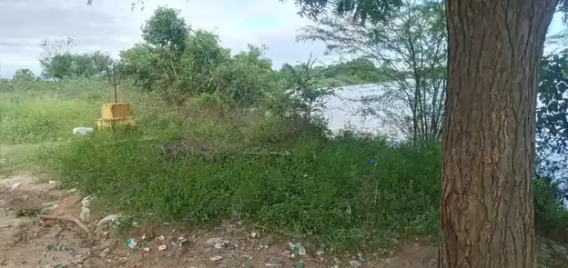 Arulmigu Chelliamman Temple, End Of The Village, Ponneri - 601204 அருள்மிகு செல்லியம்மன் திருக்கோயில், End Of The Village, Ponneri - 601204, Tiruvallur - Ancient Temple Architecture and History Image 3