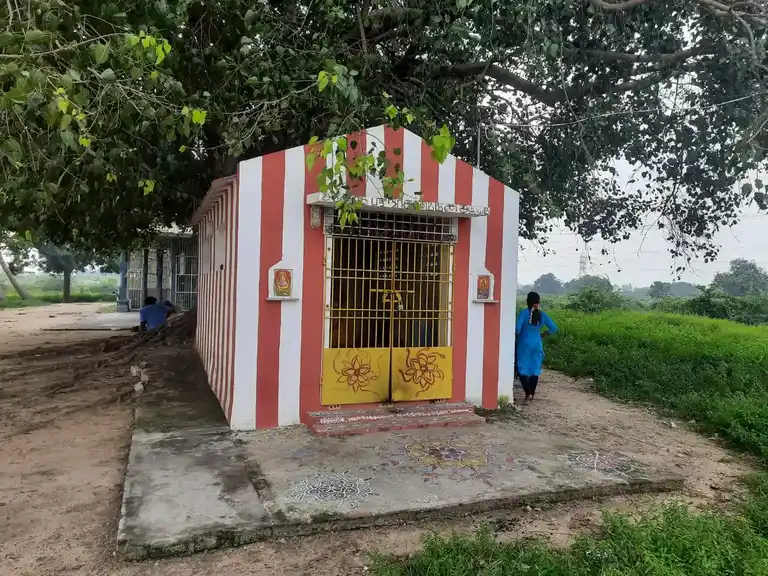 Arulmigu Chelliamman Temple, End Of The Village, Vitchur - 600103 அருள்மிகு செல்லியம்மன் திருக்கோயில், End Of The Village, Vitchur - 600103, Tiruvallur - Ancient Temple Architecture and History Image 2