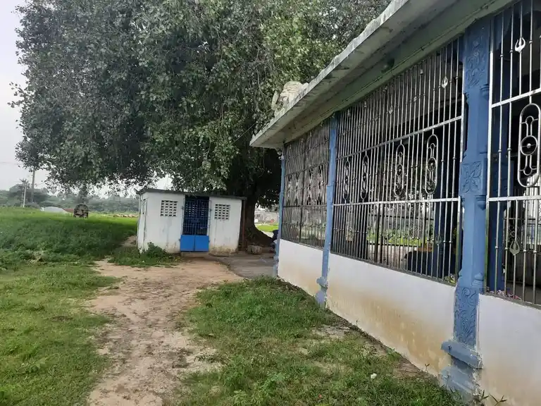 Arulmigu Chelliamman Temple, End Of The Village, Vitchur - 600103 அருள்மிகு செல்லியம்மன் திருக்கோயில், End Of The Village, Vitchur - 600103, Tiruvallur - Ancient Temple Architecture and History Image 5